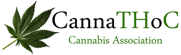 Logo Thorsten Hetfeld